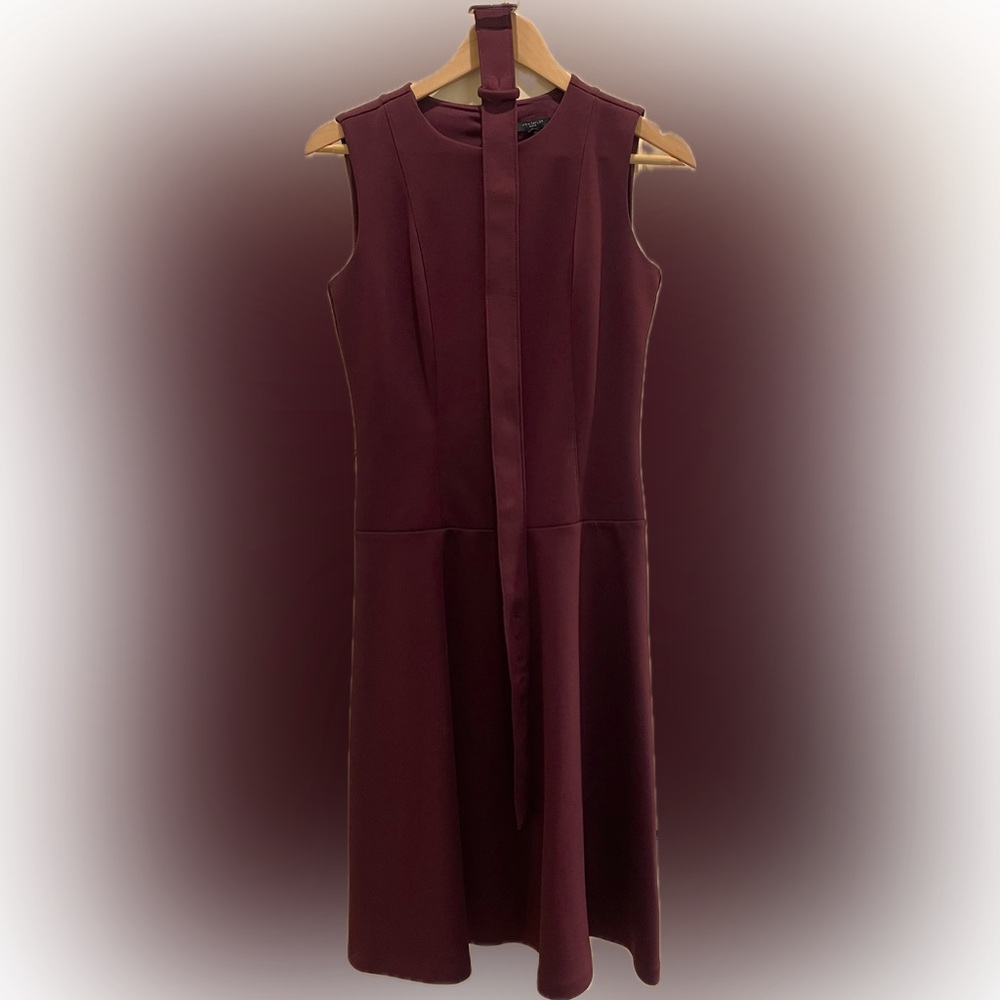 Ann Taylor - Maroon Dress - Matching Belt - Belt Loops - Size 2 Petite